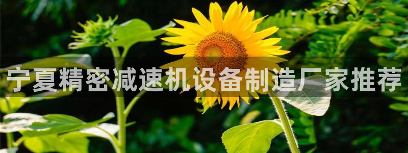 彩神输的钱是赌博还是诈骗：宁夏精密减速机设备制造厂家推荐