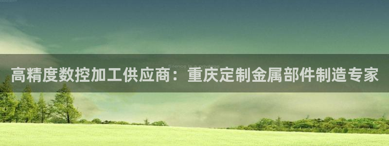 彩神viii是正规平台吗?：高精度数控加工供应商：重庆定制金属部件制造专家